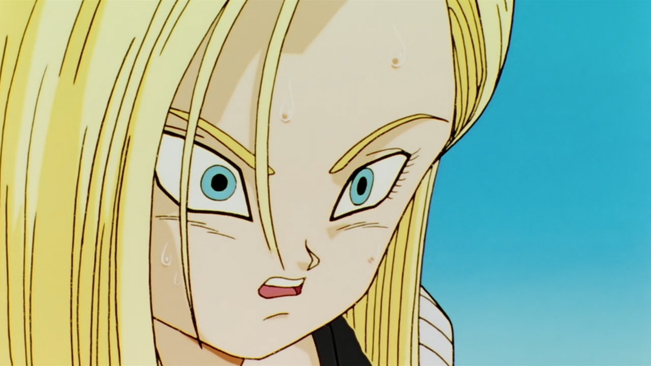 Dragon Ball Kai (TFC) odcinek 118
